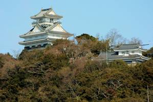 Gifu