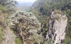 Graskop