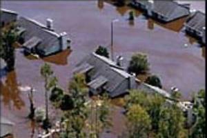 Greenville