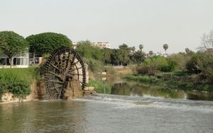 Hama