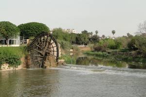 Hama