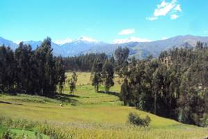 Huaraz