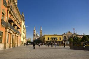 León