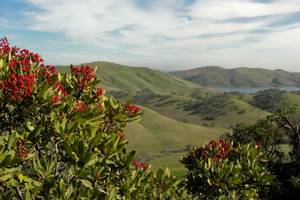 Livermore