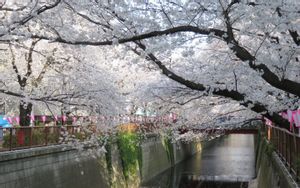 Tokyo/Meguro
