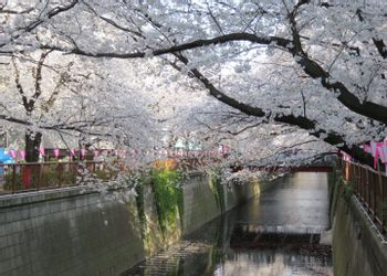Tokyo/Meguro
