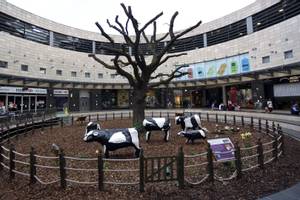 Milton Keynes