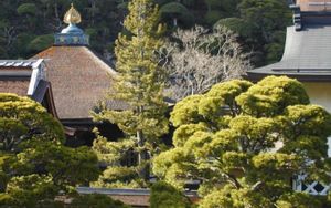 Mount Koya