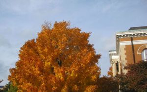 Naperville