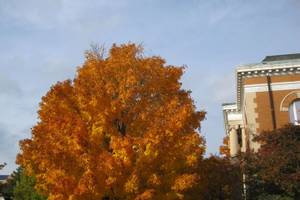 Naperville