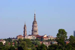 Novara