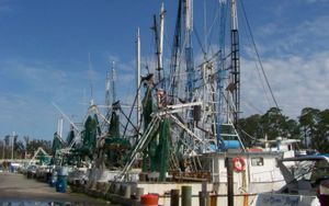 Ocean Springs