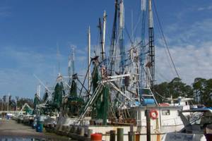 Ocean Springs