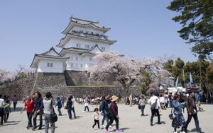 Odawara