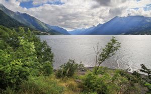 Odda