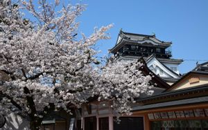 Okazaki