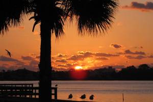 Ormond Beach