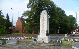 Orpington