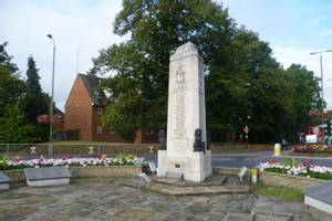 Orpington