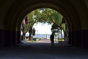 Palić