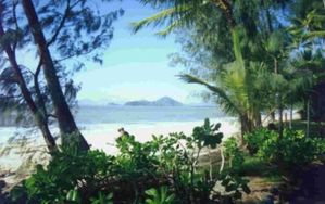 Palm Cove