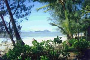 Palm Cove
