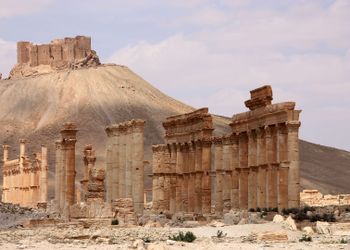 Palmyra