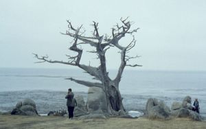 Pebble Beach