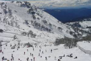 Perisher