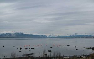 Puerto Natales