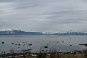 Puerto Natales