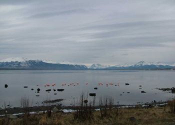 Puerto Natales