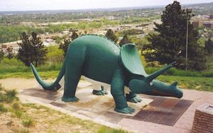 Rapid City