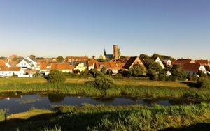 Ribe