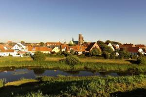 Ribe