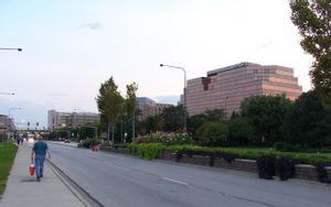 Rosemont