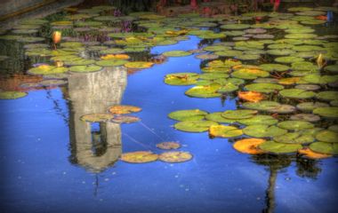 Generate a random place in San Juan Capistrano, California