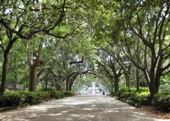 Savannah