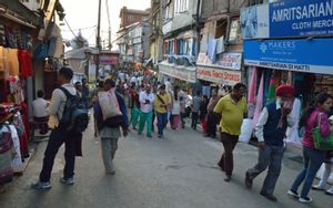 Shimla