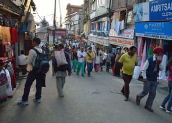 Shimla