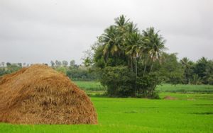 Srirangapatna