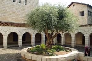 Tabgha
