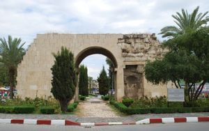 Tarsus