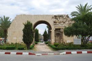 Tarsus