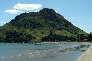 Tauranga