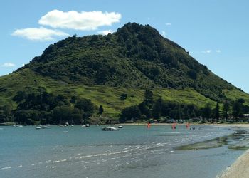 Tauranga