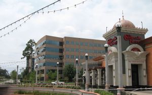The Woodlands