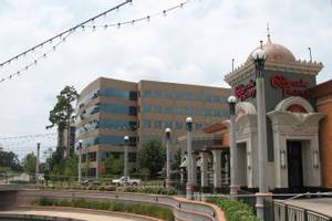 The Woodlands