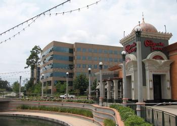The Woodlands
