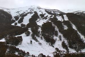 Thredbo